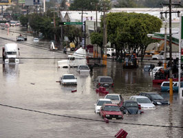 Publicada en el El Informador en línea el 2/ago/2008