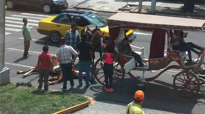 Avenida Vallarta y Argentina.