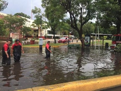 Tráfico ZMG - Ago/16/2015