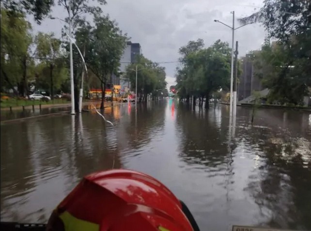 El Informador en línea - Jul/11/2021