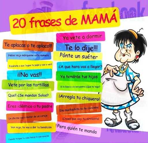 20 frases de mam.