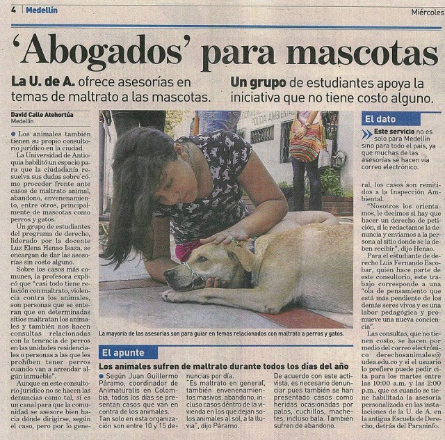 Abogados para animales en Medellín, Colombia.