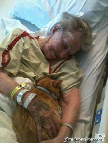 Abuela moribunda con su gato.