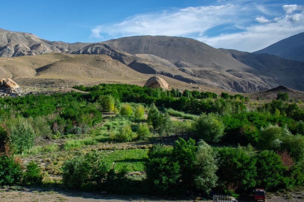 Abuelo convierte zona rida en un oasis de vida.