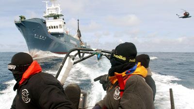 Activistas en acción vs. asesinos japoneses de ballenas.