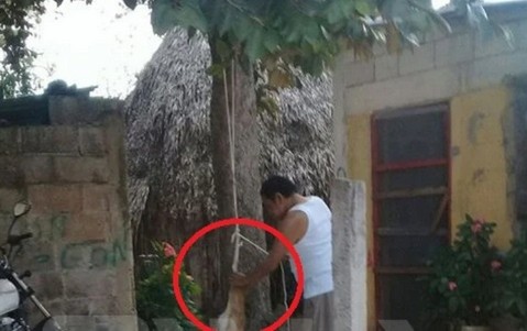 Asesinan cruelmente a un perro en Yucatán; lo ahorcan en un árbol.