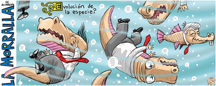 La evolución de la especie.