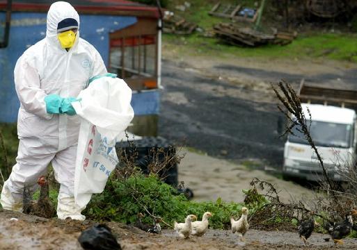 Atrapando la amenaza en Turquía