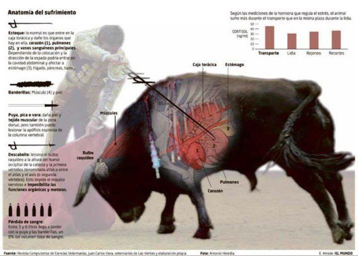 Anatoma del sufrimiento.