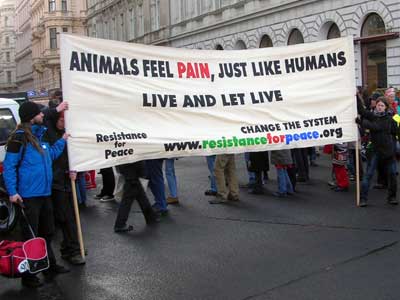 Los animales sienten dolor, igual que los humanos.
