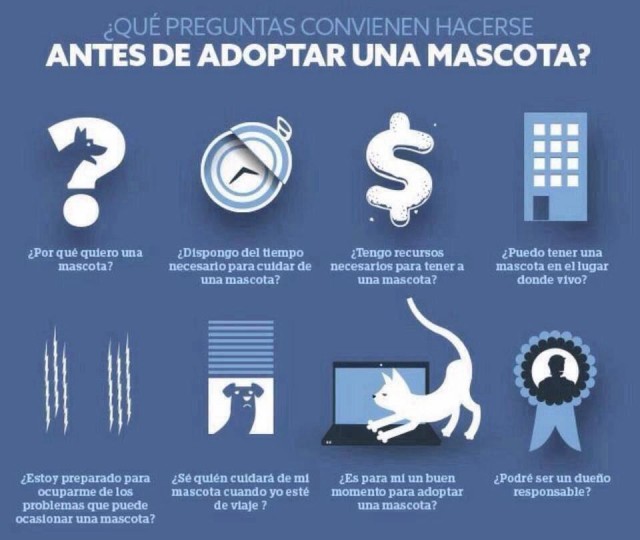 Preguntas que conviene hacerse antes de adoptar.