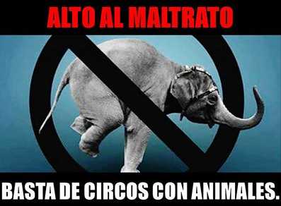 Basta de circos con animales.