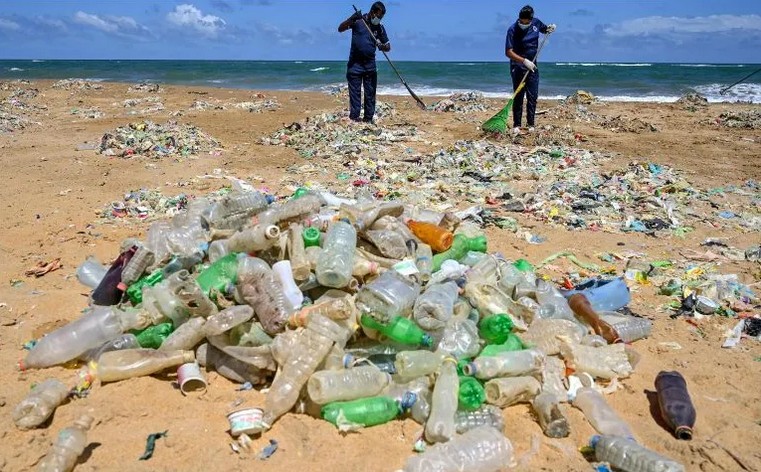 La cantidad de envases ya es peligrosa para la fauna marina y para el ecosistema en general.