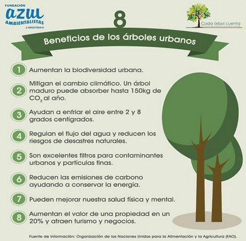 8 beneficios de los rboles urbanos.