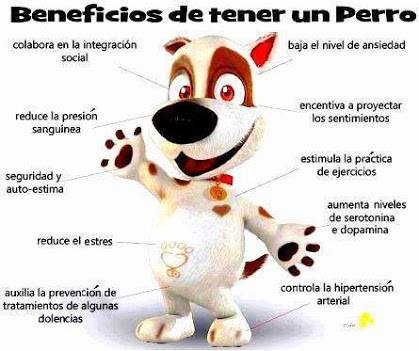 Beneficios de tener un perro.