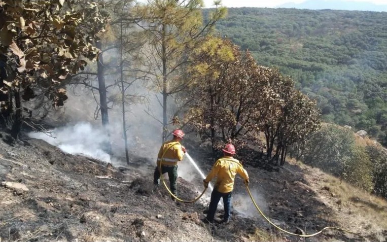 Brigadistas extinguen 2 incendios.