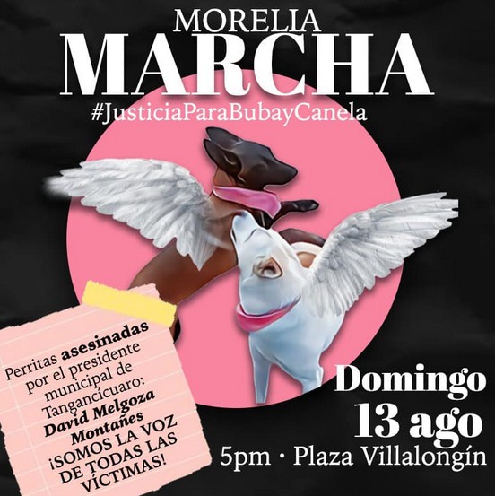 Marcha en Morelia.