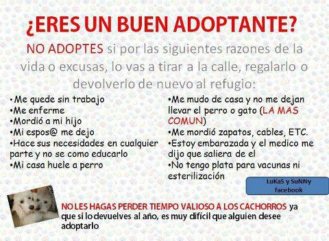 El buen adoptante.