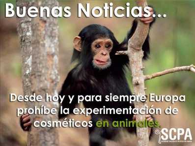 Buenas noticias!