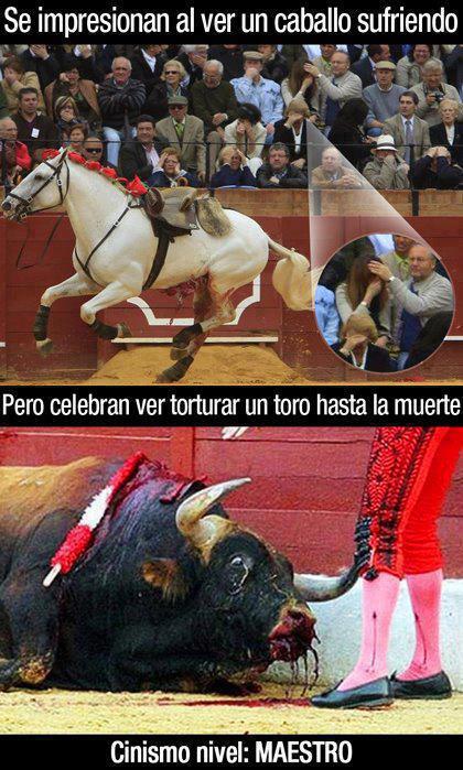 Se impresion al ver un caballo sufriendo...