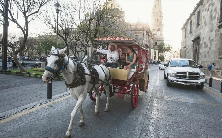 Adiós a las calandrias con caballos en julio.