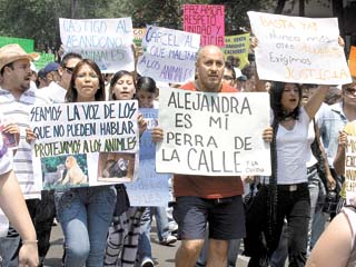 Protesta en el D.F.