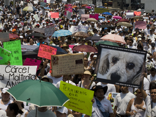 Protesta en el D.F.