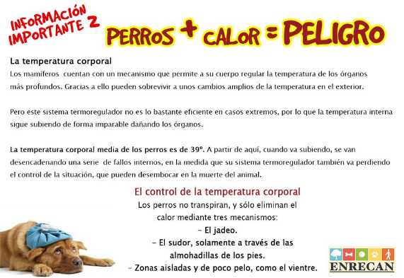 Calor = Peligro