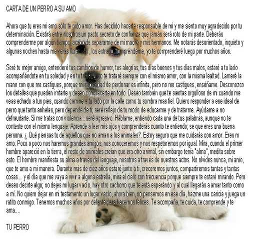 Carta de un perro a su amo.