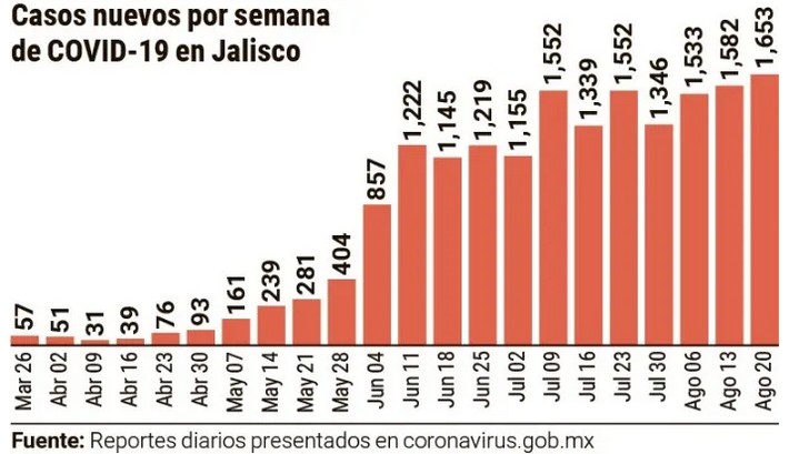 Casos nuevos según el gobierno federal.