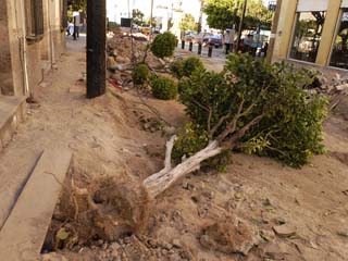 Trabajo realizado en el centro de Zapopan.