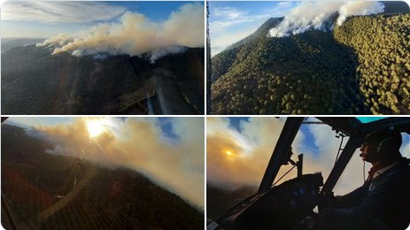 Incendio en Cerro Peln.