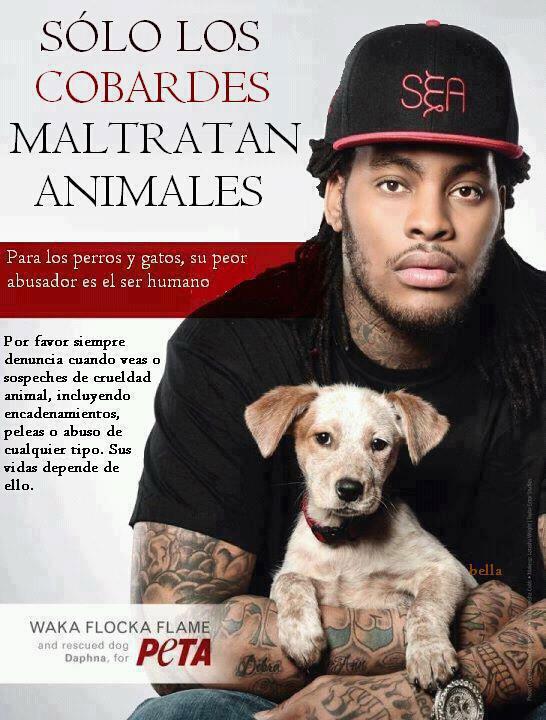 Sólo los cobardes maltratan animales.