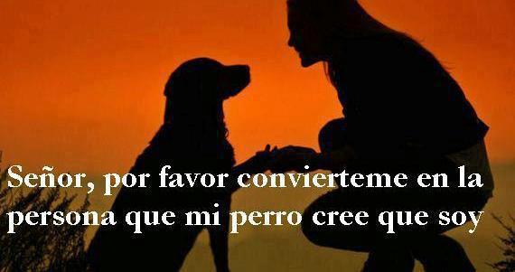 Seor, convirteme...