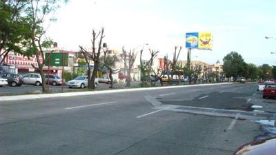 Av.Coprnico.