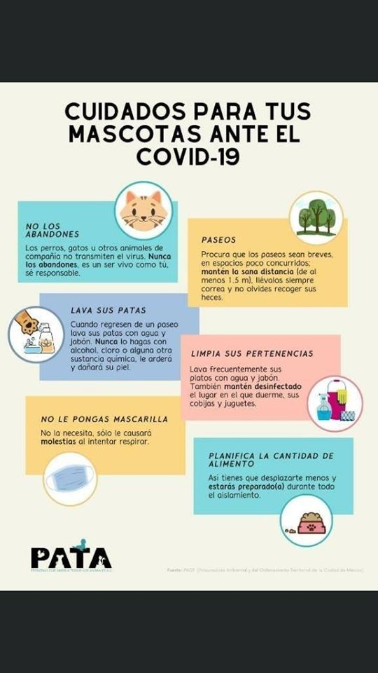 Cuidado de mascotas frente al covid-19.