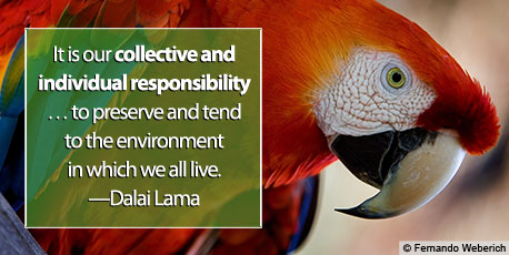 Es nuestra resposabilidad colectiva e individual... preservar y atender el ambiente.
