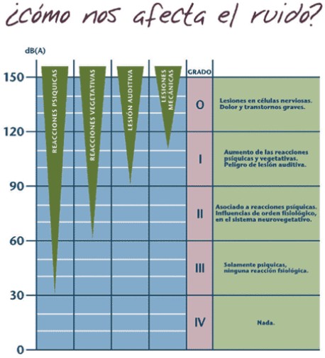 Afectacin por el ruido.