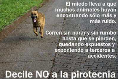 Dile no a la pirotecnia.