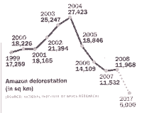 Deforestacin de la selva amaznica.