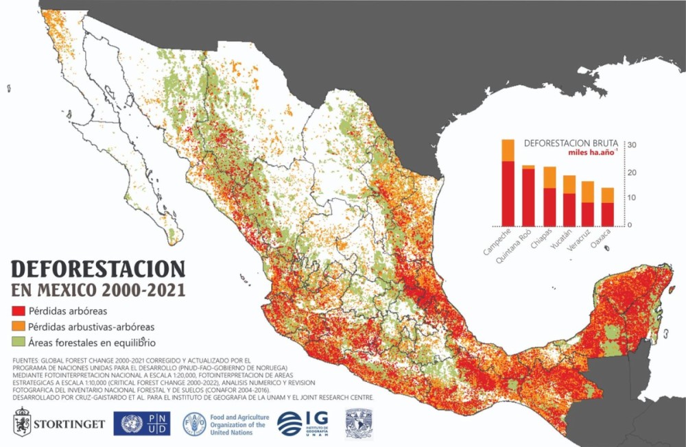 Deforestacin en Mxico de 2000 a 2021.