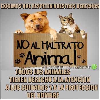 Todos los animales tienen derecho.