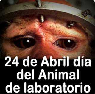 Da para recordar al animal de laboratorio.