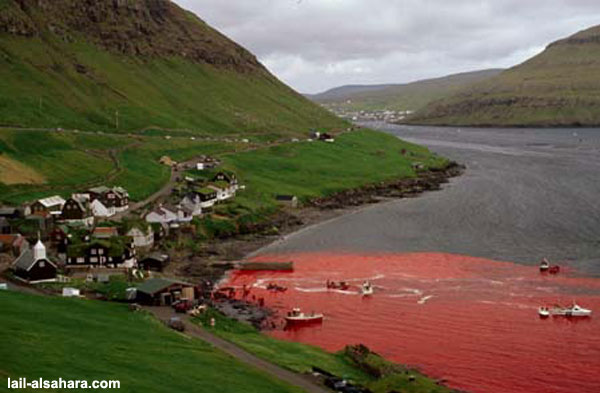 La mar se tiñe de rojo...