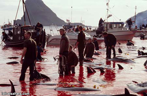 Jóvenes adultos de la isla Feroe.