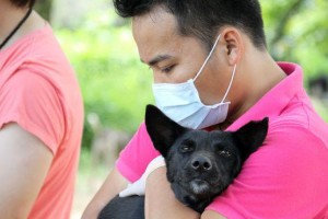 Rescate de los perros en Thailandia.