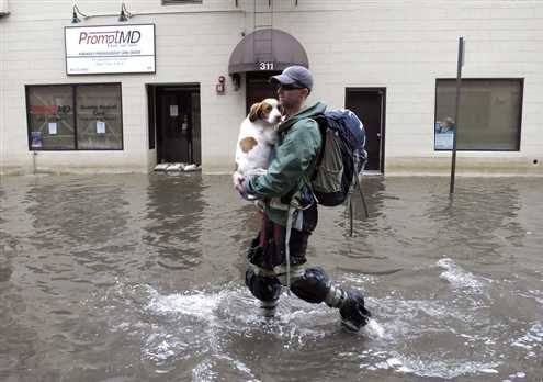 Perro rescatado.