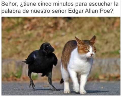 Nuestro Señor Edgar Allan Poe.