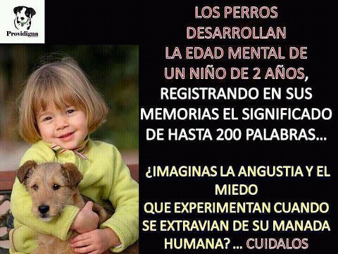 Su edad mental es como la de un niño de 2 años.