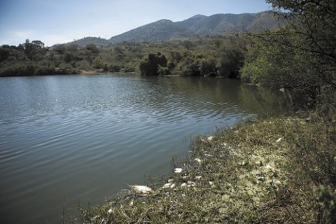 Presa de El Molino.